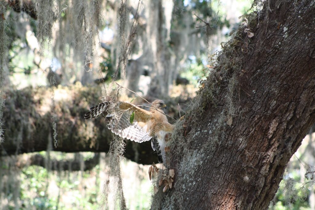 Bouw- en handelsonderneming Havik in Kwadijk: betrouwbaarheid in de regio